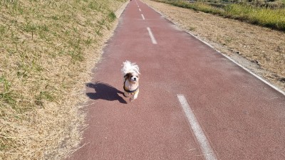 remi