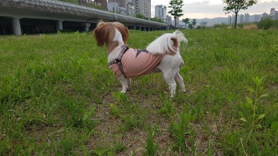 아침 산책