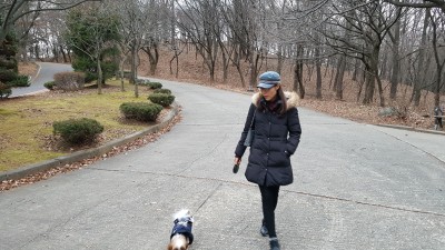 2016년 겨울산책