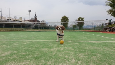 래미